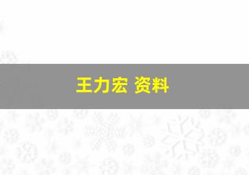 王力宏 资料